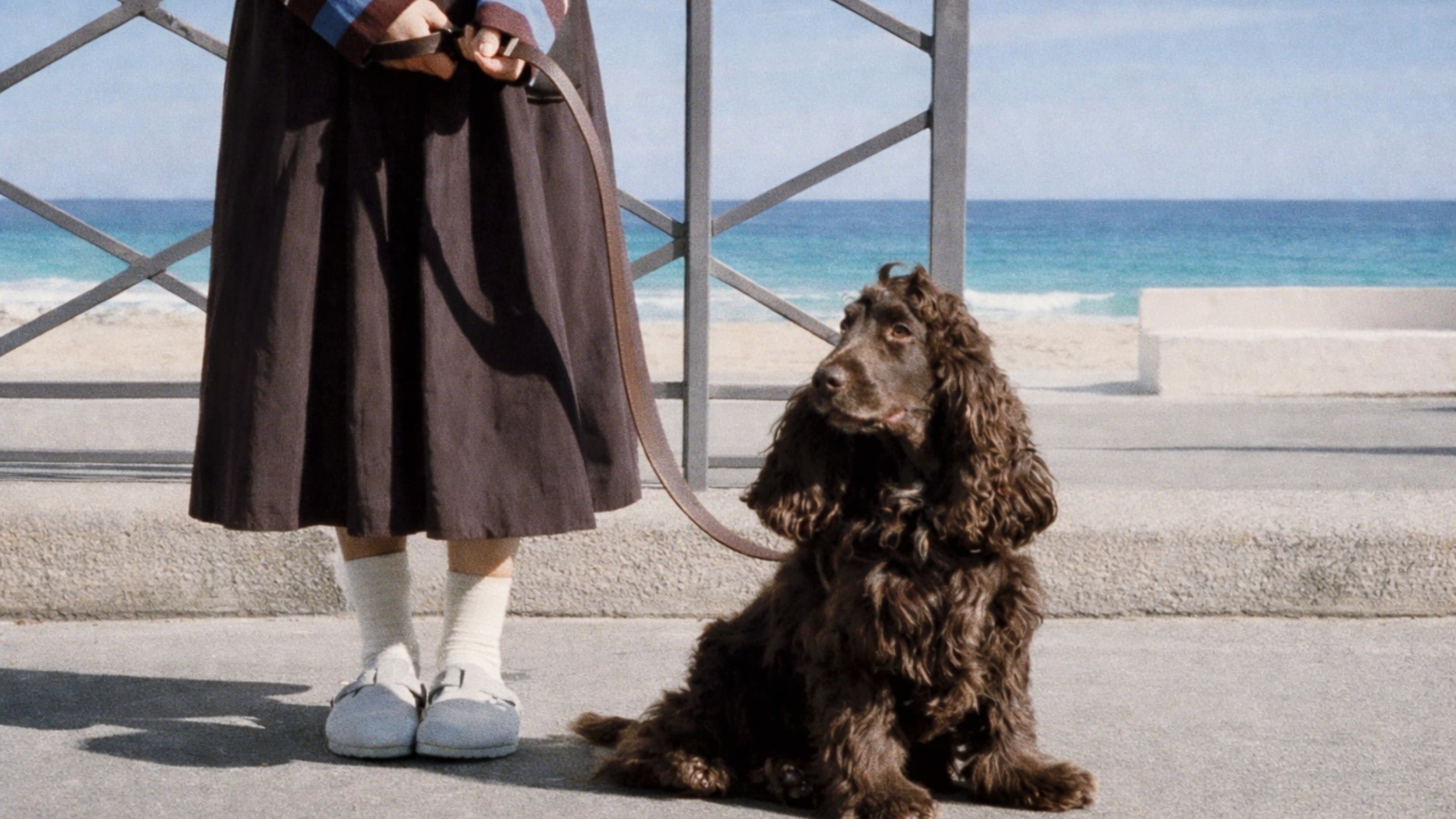 Comment porter des Birkenstock femme et homme avec style, looks Arizona et Boston